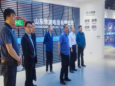 山東電力工程咨詢?cè)阂恍猩W臨科華賽邦考察